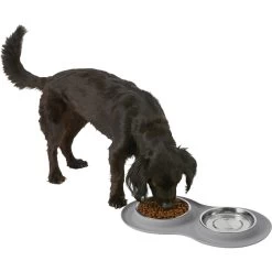 Frisco Double Stainless Steel Pet Bowl With Silicone Mat -Pet Supplies Shop 215986 PT5. AC SS1800 V1605652436