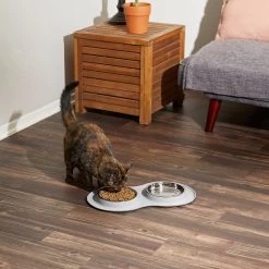 Frisco Double Stainless Steel Pet Bowl With Silicone Mat -Pet Supplies Shop 215986 PT6. AC SS1800 V1605657710