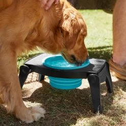Frisco Elevated Collapsible Travel Bowl 4 Frisco Elevated Collapsible Travel Bowl -Pet Supplies Shop 216013 PT7. AC SS1800 V1605653830