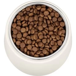 Frisco Slanted Stainless Steel Bowl -Pet Supplies Shop 216028 PT4. AC SS1800 V1591020437
