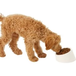 Frisco Slanted Stainless Steel Bowl -Pet Supplies Shop 216028 PT6. AC SS1800 V1605666119