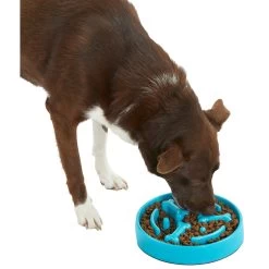 Frisco Bone Shaped Ridges Slow Feed Bowl -Pet Supplies Shop 216041 PT6. AC SS1800 V1605664049
