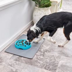 Frisco Bone Shaped Ridges Slow Feed Bowl -Pet Supplies Shop 216041 PT7. AC SS1800 V1605652347