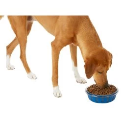 Frisco Chevron Design Glass Bowl With Silicone Sleeve -Pet Supplies Shop 216049 PT6. AC SS1800 V1605654757