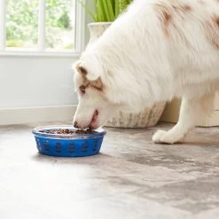 Frisco Chevron Design Glass Bowl With Silicone Sleeve -Pet Supplies Shop 216049 PT7. AC SS1800 V1605664319