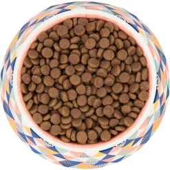 Frisco Colorful Geometric Melamine Bowl -Pet Supplies Shop 216054 PT4. AC SS1800 V1591020757