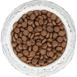 Frisco Chevron Brushed Melamine Bowl -Pet Supplies Shop 216059 PT4. AC SS1800 V1591020962