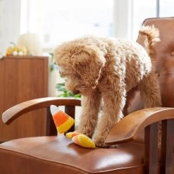 Frisco Halloween Candy Corn Plush Squeaky Dog Toy 2 Frisco Halloween Candy Corn Plush Squeaky Dog Toy -Pet Supplies Shop 218619 PT6. AC SS1800 V1597599676