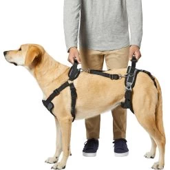 Frisco Front & Rear Lift Handicapped Support Dog Harness -Pet Supplies Shop 220372 PT5. AC SS1800 V1605749597