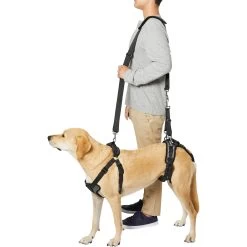 Frisco Front & Rear Lift Handicapped Support Dog Harness -Pet Supplies Shop 220372 PT6. AC SS1800 V1605758261