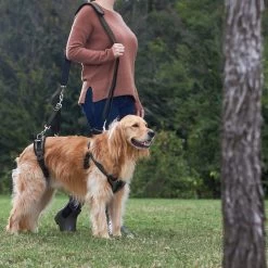 Frisco Front & Rear Lift Handicapped Support Dog Harness -Pet Supplies Shop 220372 PT7. AC SS1800 V1605738439