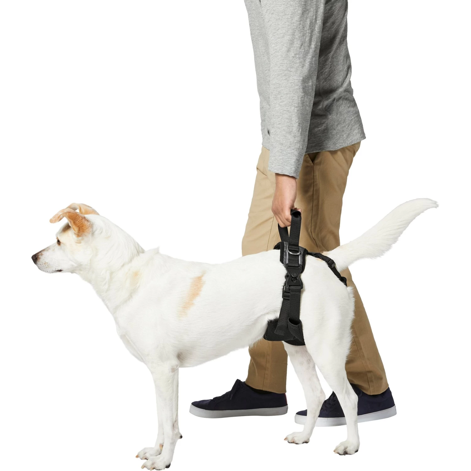 Frisco Rear Lift Handicapped Support Dog Harness Frisco Rear Lift Handicapped Support Dog Harness -Pet Supplies Shop 220374 PT5. AC SS1800 V1605743213