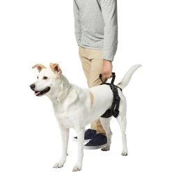 Frisco Rear Lift Handicapped Support Dog Harness 4 Frisco Rear Lift Handicapped Support Dog Harness -Pet Supplies Shop 220374 PT6. AC SS1800 V1605755228