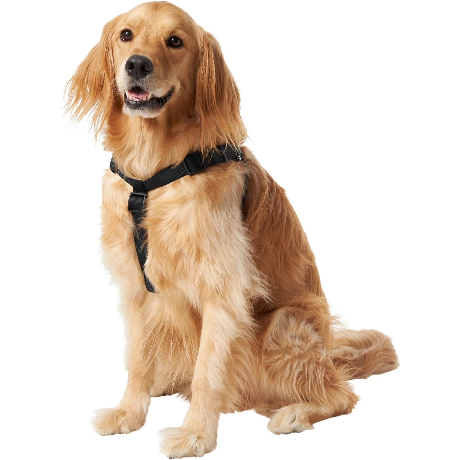 Frisco Nylon Step In Back Clip Dog Harness Frisco Nylon Step In Back Clip Dog Harness -Pet Supplies Shop 220519 PT2. AC SS1800 V1605591714