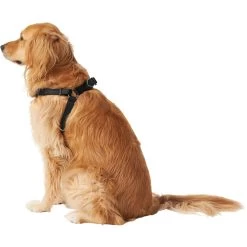 Frisco Nylon Step In Back Clip Dog Harness 3 Frisco Nylon Step In Back Clip Dog Harness -Pet Supplies Shop 220519 PT3. AC SS1800 V1605593555