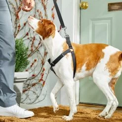 Frisco Nylon Step In Back Clip Dog Harness 4 Frisco Nylon Step In Back Clip Dog Harness -Pet Supplies Shop 220519 PT4. AC SS1800 V1605582116