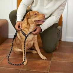 Frisco Reflective Rope Slip Lead Dog Leash -Pet Supplies Shop 221212 PT4. AC SS1800 V1699388234