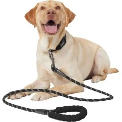 Frisco Rope Dog Leash With Padded Handle -Pet Supplies Shop 221218 PT3. AC SS1800 V1701796765