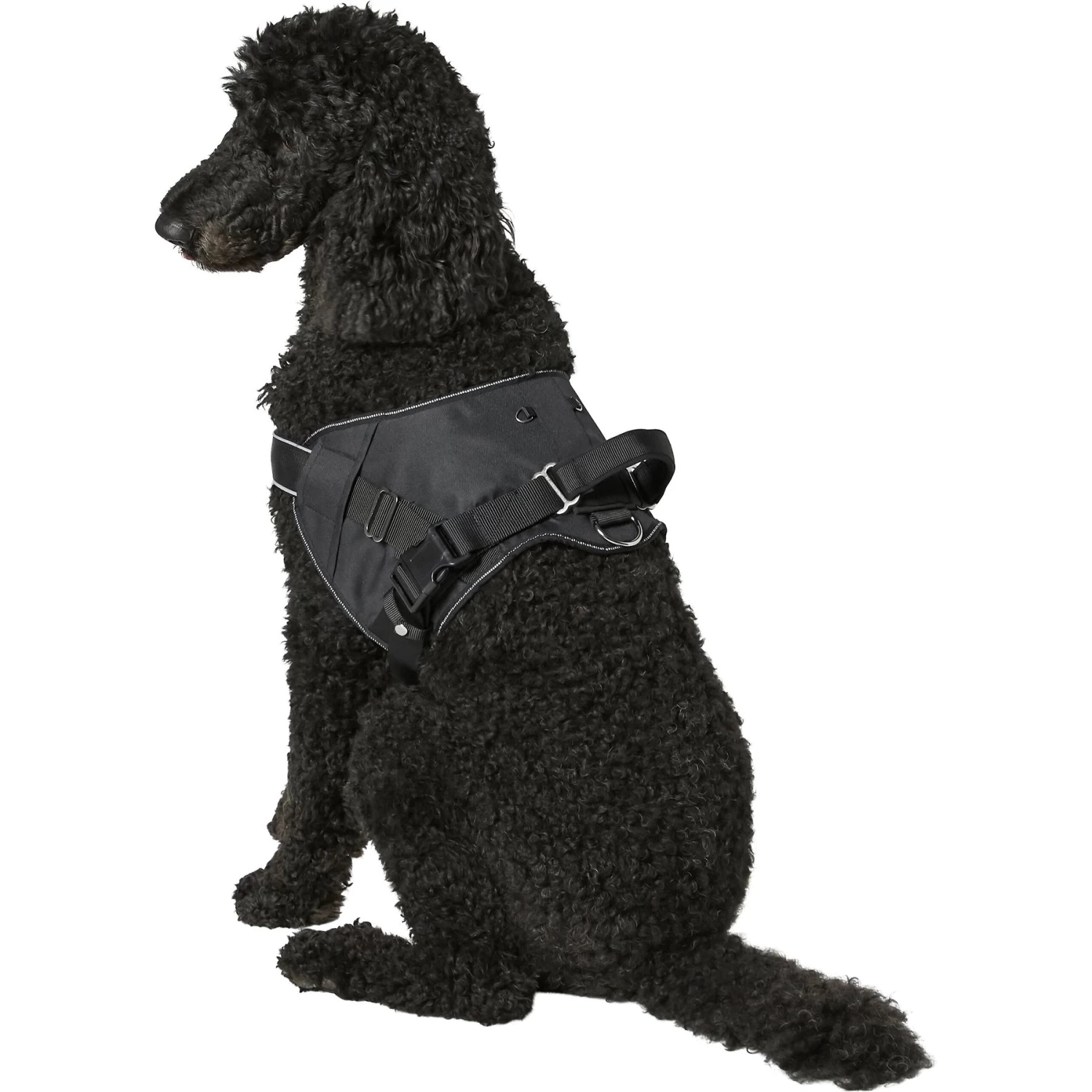 Frisco Big Dog Harness Frisco Big Dog Harness -Pet Supplies Shop 227877 PT5. AC SS1800 V1600307758