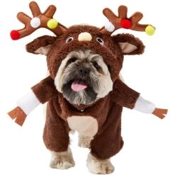 Frisco Front Walking Reindeer Dog & Cat Costume, 1 Count -Pet Supplies Shop 228790 PT2. AC SS1800 V1636731101