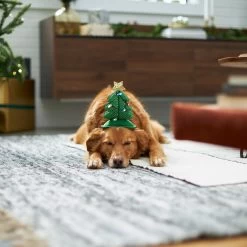Frisco Christmas Tree LED Dog & Cat Headpiece 4 Frisco Christmas Tree LED Dog & Cat Headpiece -Pet Supplies Shop 229051 PT7. AC SS1800 V1601648765