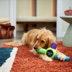 Frisco Retro Whack It! Ballistic Nylon Plush Squeaky Dog Toy 2 Frisco Retro Whack It! Ballistic Nylon Plush Squeaky Dog Toy -Pet Supplies Shop 230302 PT3. AC SS1800 V1601947283