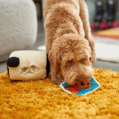 Frisco Retro Camera 2-in-1 Rip For Surprise Plush Squeaky Dog Toy -Pet Supplies Shop 230306 PT3. AC SS1800 V1602639779