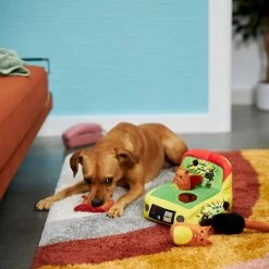 Frisco Retro Smack-a-Squirrel Hide & Seek Puzzle Plush Squeaky Dog Toy -Pet Supplies Shop 230313 PT3. AC SS1800 V1601947334