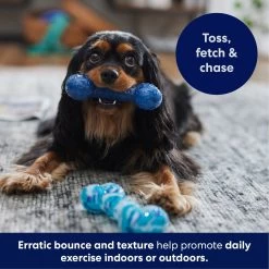 Frisco Retro Denim & Swirl TPR Bone Squeaky Dog Toy 4 Frisco Retro Denim & Swirl TPR Bone Squeaky Dog Toy -Pet Supplies Shop 230341 PT4. AC SS1800 V1695748896