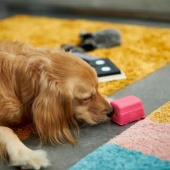 Frisco Retro Funky Van TPE Treat Dispenser Dog Toy, Medium/Large -Pet Supplies Shop 230383 PT4. AC SS1800 V1669908614