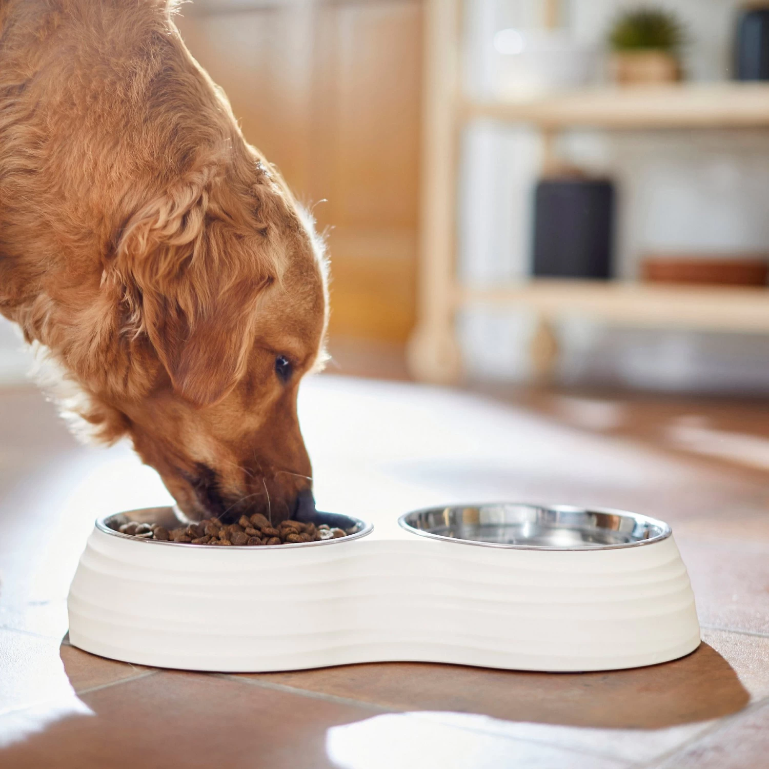 Frisco Stainless Steel Double Dog Bowls with Melamine Stand Frisco Stainless Steel Double Dog Bowls With Melamine Stand -Pet Supplies Shop 232092 PT7. AC SS1800 V1693015855