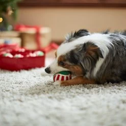 Frisco Holiday Wreath Fetch Squeaky Tennis Ball Dog Toy 3 Frisco Holiday Wreath Fetch Squeaky Tennis Ball Dog Toy -Pet Supplies Shop 233189 PT3. AC SS1800 V1665759769