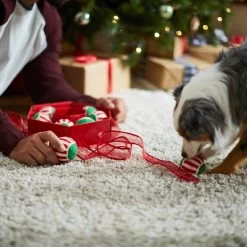 Frisco Holiday Wreath Fetch Squeaky Tennis Ball Dog Toy 4 Frisco Holiday Wreath Fetch Squeaky Tennis Ball Dog Toy -Pet Supplies Shop 233189 PT5. AC SS1800 V1601919657