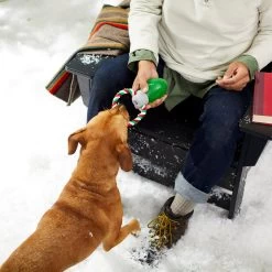 Frisco Holiday Christmas Light Rope With TPR Squeaky Dog Toy 2 Frisco Holiday Christmas Light Rope With TPR Squeaky Dog Toy -Pet Supplies Shop 233278 PT2. AC SS1800 V1601641574