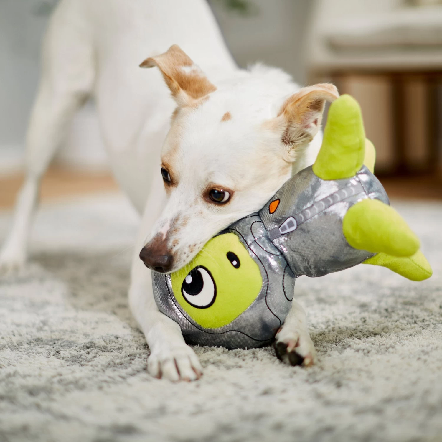 Frisco Alien Plush Squeaky Dog Toy Frisco Alien Plush Squeaky Dog Toy -Pet Supplies Shop 233579 PT3. AC SS1800 V1600973833