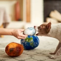 Frisco Earth, Mars, And Moon Plush Squeaky Dog Toy -Pet Supplies Shop 233587 PT3. AC SS1800 V1600973771