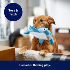 Frisco Hammerhead Shark Ballistic Nylon Plush Squeaky Dog Toy 4 Frisco Hammerhead Shark Ballistic Nylon Plush Squeaky Dog Toy -Pet Supplies Shop 233593 PT4. AC SS1800 V1695748352