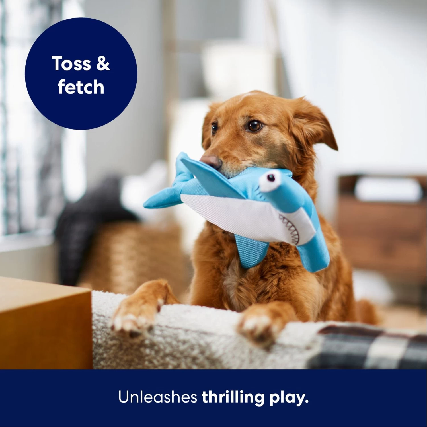 Frisco Hammerhead Shark Ballistic Nylon Plush Squeaky Dog Toy Frisco Hammerhead Shark Ballistic Nylon Plush Squeaky Dog Toy -Pet Supplies Shop 233593 PT4. AC SS1800 V1695748352