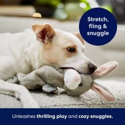 Frisco Bunny Bungee Plush Squeaky Dog Toy -Pet Supplies Shop 233612 PT5. AC SS1800 V1691783971