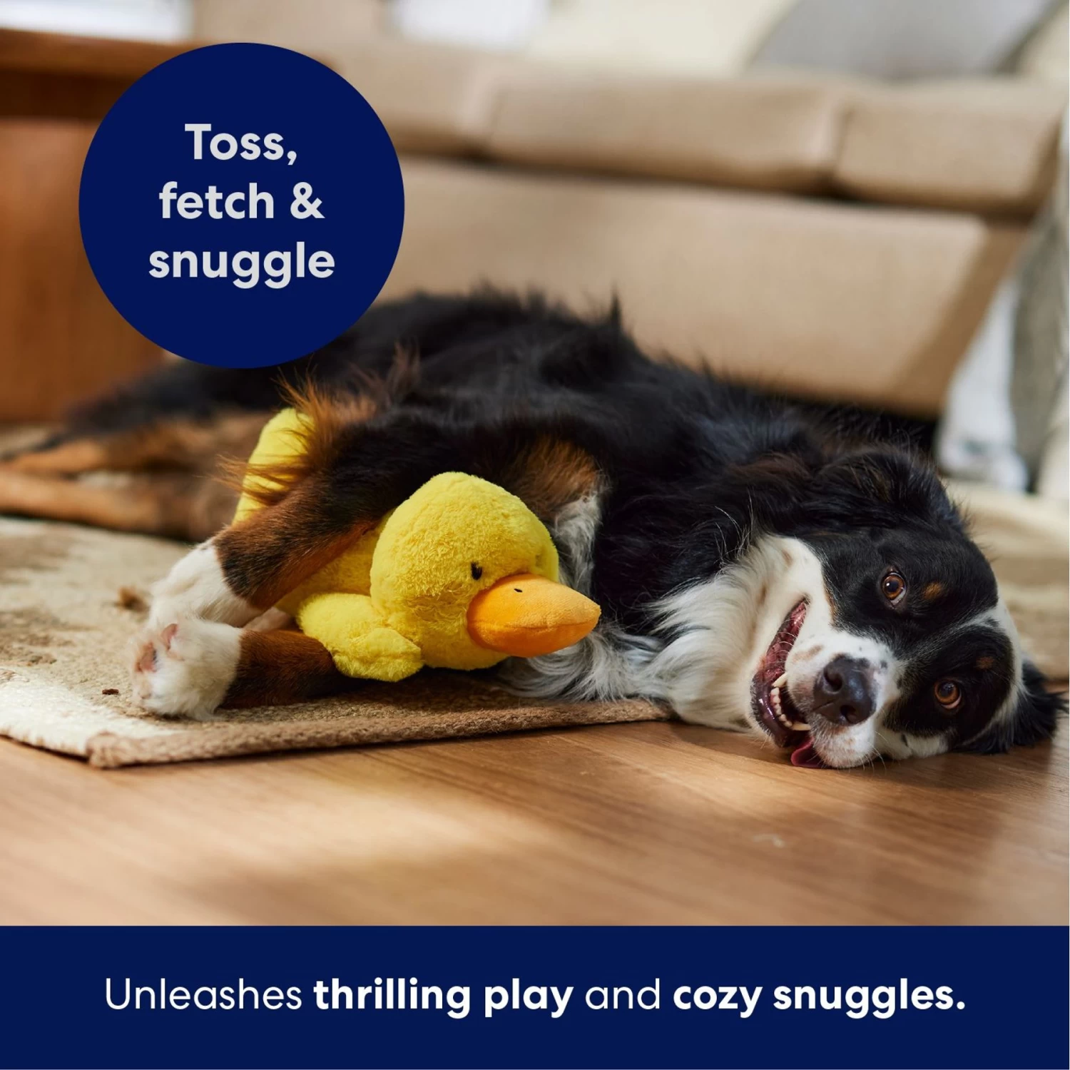 Frisco Duck Plush Squeaky Dog Toy Frisco Duck Plush Squeaky Dog Toy -Pet Supplies Shop 233613 PT4. AC SS1800 V1695670688