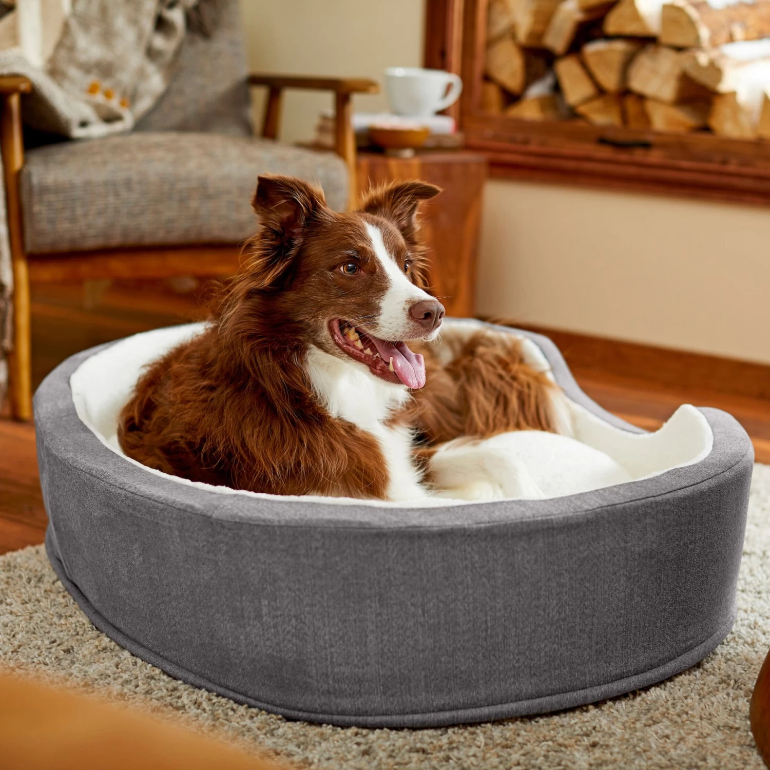 Frisco Bolster Cat & Dog Bed Frisco Bolster Cat & Dog Bed -Pet Supplies Shop 235034 MAIN. AC SS1800 V1602690455