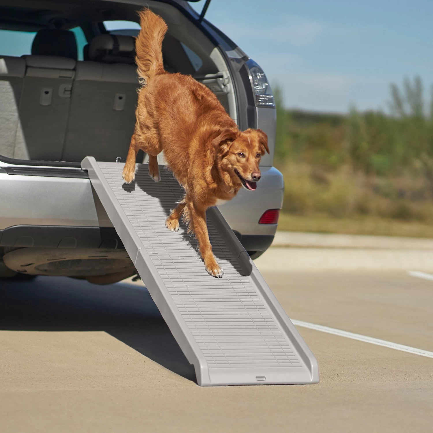 Frisco Bi-Fold Travel Dog Car Ramp Frisco Bi-Fold Travel Dog Car Ramp -Pet Supplies Shop 235934 MAIN. AC SS1800 V1606230153