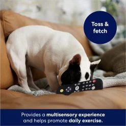 Frisco Zoomies & Chill Remote Latex Squeaky Dog Toy -Pet Supplies Shop 241753 PT6. AC SS1800 V1686580150