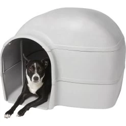 Frisco Dome Dog House -Pet Supplies Shop 241900 PT2. AC SS1800 V1602884184