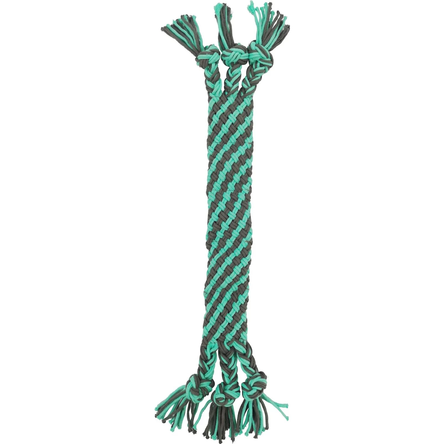 Frisco Flat Teal & Gray Braided Rope Squeaky Fetch Dog Toy Frisco Flat Teal & Gray Braided Rope Squeaky Fetch Dog Toy -Pet Supplies Shop 242127 MAIN. AC SS1800 V1603373216