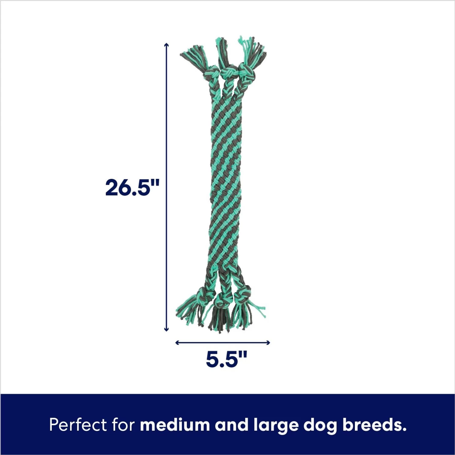 Frisco Flat Teal & Gray Braided Rope Squeaky Fetch Dog Toy Frisco Flat Teal & Gray Braided Rope Squeaky Fetch Dog Toy -Pet Supplies Shop 242127 PT1. AC SS1800 V1695748353