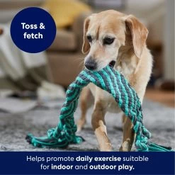 Frisco Flat Teal & Gray Braided Rope Squeaky Fetch Dog Toy 3 Frisco Flat Teal & Gray Braided Rope Squeaky Fetch Dog Toy -Pet Supplies Shop 242127 PT3. AC SS1800 V1695242179