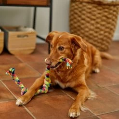 Frisco 4-Knot Tri-Color Rope Dog Toy -Pet Supplies Shop 242139 PT2. AC SS1800 V1605208764