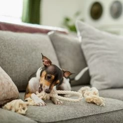 Frisco Double Knot Cotton Rope Fetch Dog Toy -Pet Supplies Shop 242155 PT2. AC SS1800 V1605208728