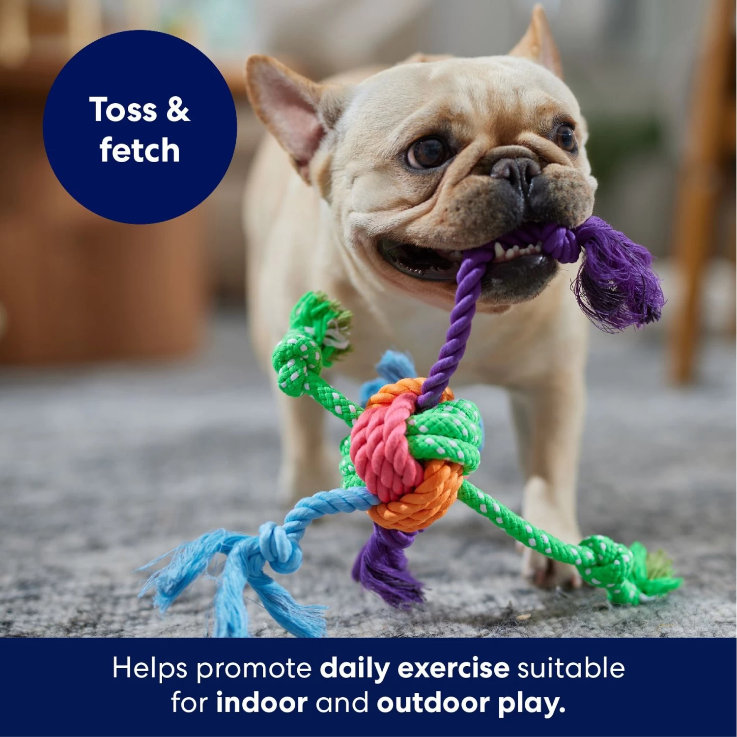Frisco Fetch Colorful Ball Knot Rope Dog Toy Frisco Fetch Colorful Ball Knot Rope Dog Toy -Pet Supplies Shop 242159 PT3. AC SS1800 V1695242179